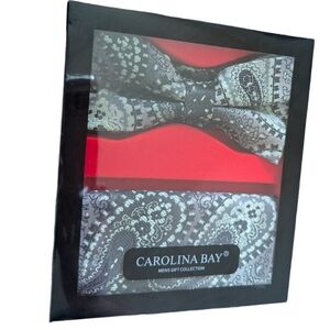 Carolina Bay Mens Pastel Paisley Tie and Handkerchief Gift Set NEW